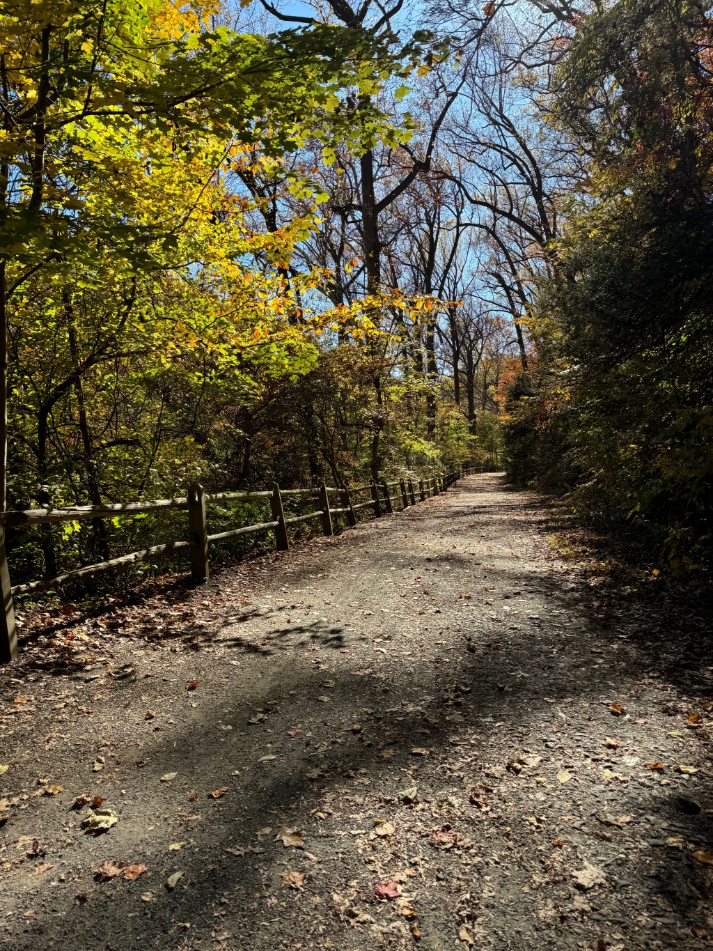 Top 10 Songs of October |&nbsp;blog